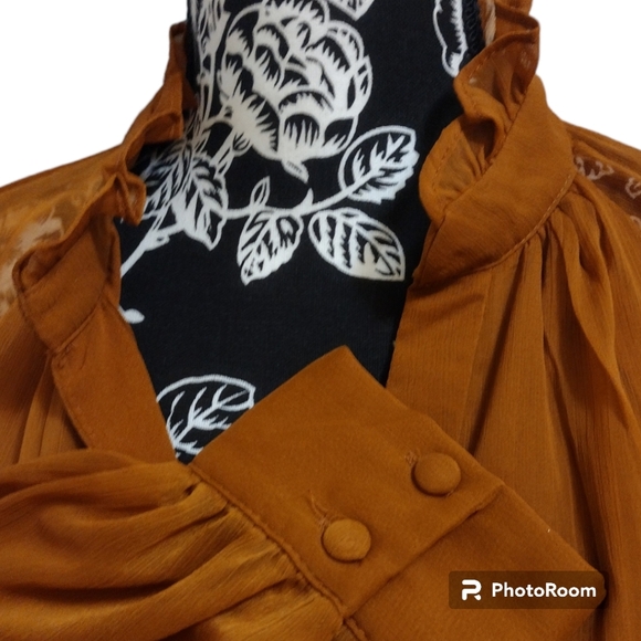 1. State Rust Orange Sheer Long Sleeve Dress - Picture 5 of 6